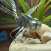 Szitakötő 3D puzzle és makett - Image 4