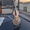 Bőgő 3D puzzle és makett