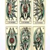 Tattoo Tarot 78 lapos kártyakészlet - Image 4