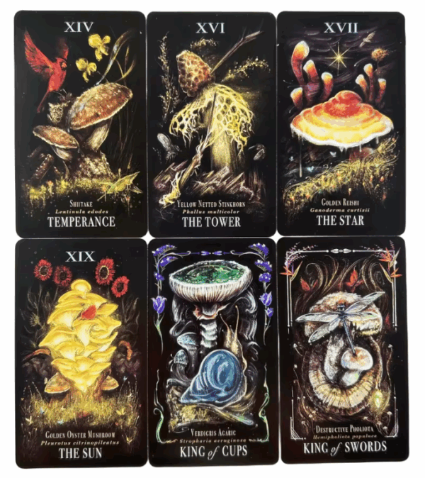 Gombás tarot kártya - jóskészlet
