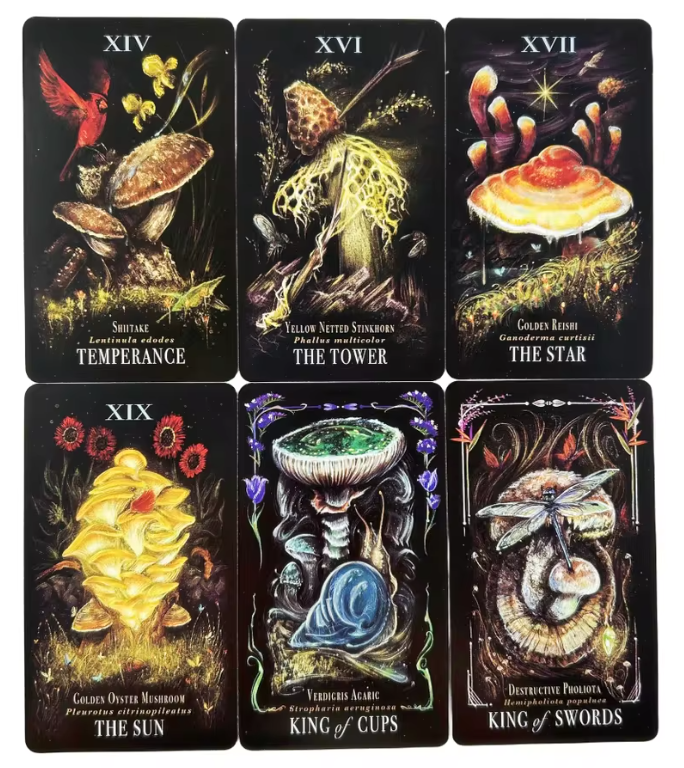 Gombás tarot kártya - jóskészlet